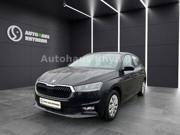 Gebrauchte Skoda Fabia